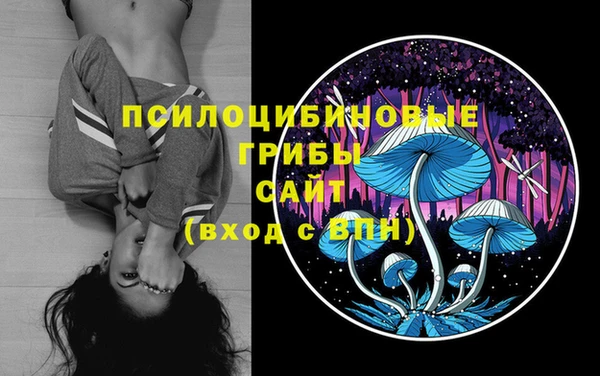 крисы Балахна