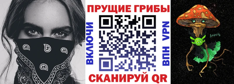 Галлюциногенные грибы Psilocybe  блэк спрут tor  Разумное 