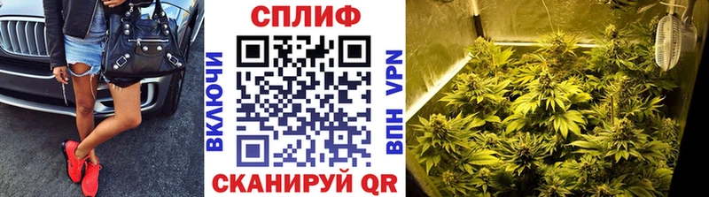 Бошки марихуана Ganja  Разумное 